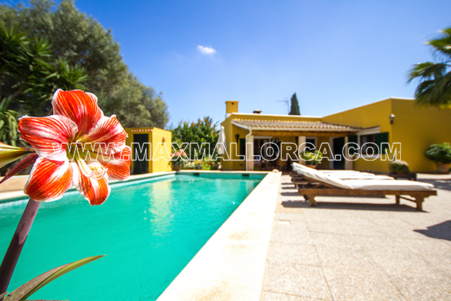 villa_puerto_andratx_for_sale_house_casa_real_estate_max_mallorca_property_residence_pool_garden_piscina_jardin_se_vende_02.jpg