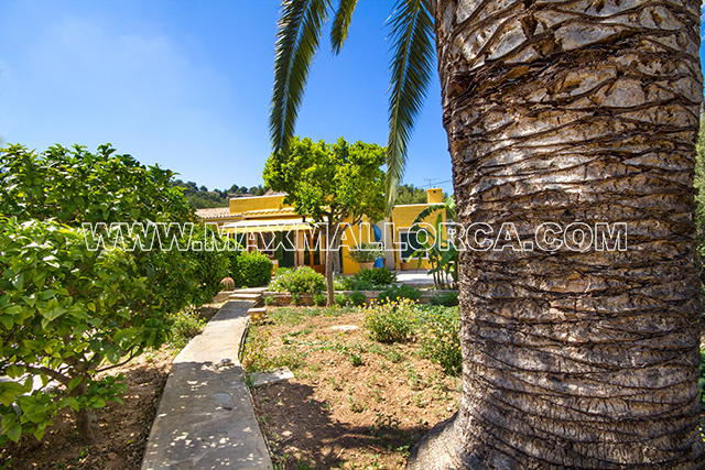 villa_puerto_andratx_for_sale_house_casa_real_estate_max_mallorca_property_residence_pool_garden_piscina_jardin_se_vende_10.jpg