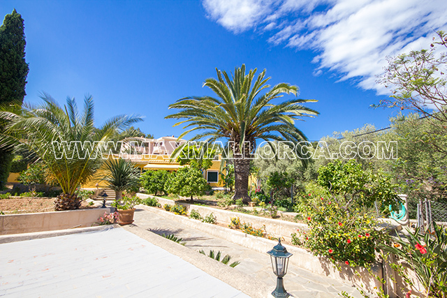 villa_puerto_andratx_for_sale_house_casa_real_estate_max_mallorca_property_residence_pool_garden_piscina_jardin_se_vende_21.jpg