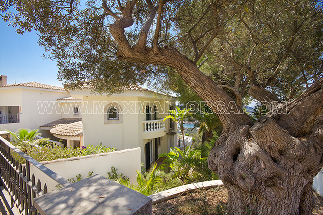villa_mallorca_puerto_andratx_miro_sea_view_villa_property_residence_house_pool_max_mallorca_32.jpg